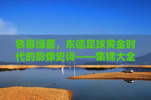 铁幕绿茵,东德足球黄金时代的影像史诗——集锦大全背后的故事 铁幕绿茵,东德足球黄金时代的影像史诗——集锦大全背后的故事