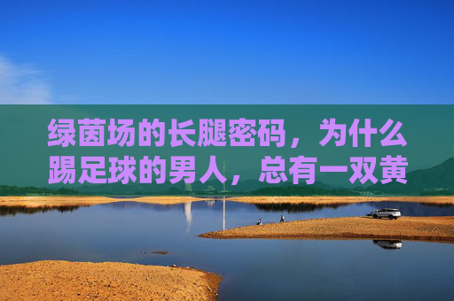 绿茵场的长腿密码，为什么踢足球的男人，总有一双黄金腿？