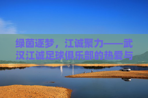 绿茵逐梦,江诚聚力——武汉江诚足球俱乐部的热爱与坚守 绿茵逐梦,江诚聚力——武汉江诚足球俱乐部的热爱与坚守