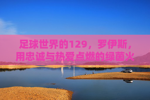 足球世界的129,罗伊斯,用忠诚与热爱点燃的绿茵火焰 足球世界的129,罗伊斯,用忠诚与热爱点燃的绿茵火焰