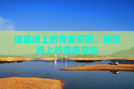 绿茵场上的青春交响，绿茵场上的青春交响