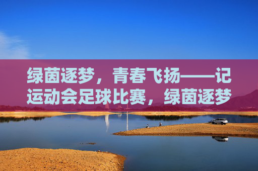 绿茵逐梦，青春飞扬——记运动会足球比赛，绿茵逐梦，青春飞扬