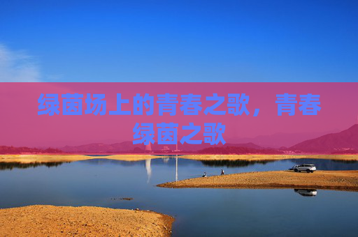 绿茵场上的青春之歌，青春绿茵之歌