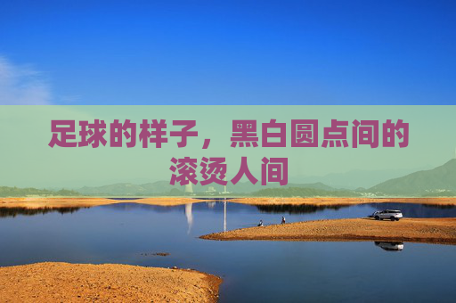 足球的样子,黑白圆点间的滚烫人间 足球的样子,黑白圆点间的滚烫人间