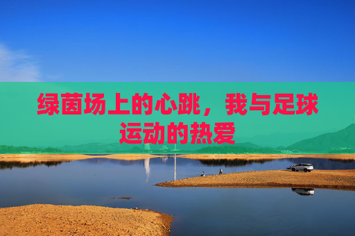 绿茵场上的心跳,我与足球运动的热爱 绿茵场上的心跳,我与足球运动的热爱