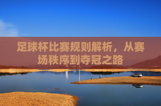 足球杯比赛规则解析，从赛场秩序到夺冠之路