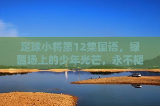 足球小将第12集国语，绿茵场上的少年光芒，永不褪色的热血记忆