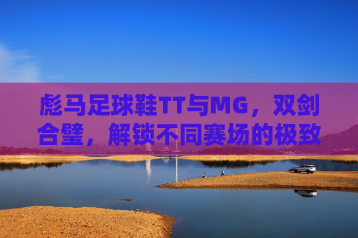 彪马足球鞋TT与MG,双剑合璧,解锁不同赛场的极致表现 彪马足球鞋TT与MG,双剑合璧,解锁不同赛场的极致表现