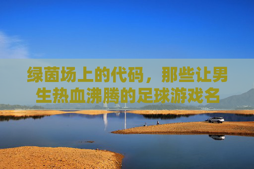 绿茵场上的代码，那些让男生热血沸腾的足球游戏名