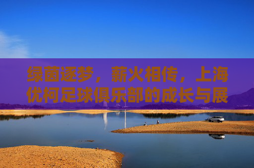 绿茵逐梦，薪火相传，上海优柯足球俱乐部的成长与展望，绿茵逐梦薪火传，上海优柯足球俱乐部成长与展望