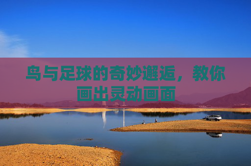 鸟与足球的奇妙邂逅,教你画出灵动画面 鸟与足球的奇妙邂逅,教你画出灵动画面