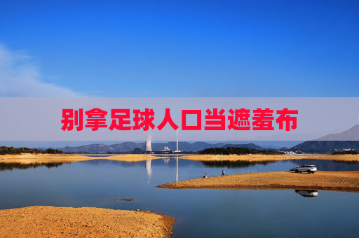 别拿足球人口当遮羞布