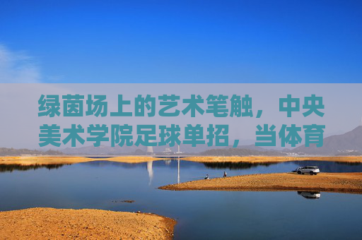 绿茵场上的艺术笔触，中央美术学院足球单招，当体育特长遇见美学基因