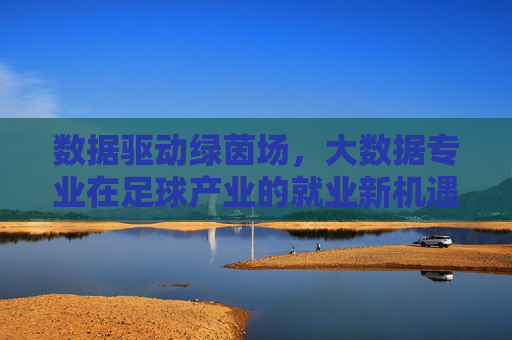 数据驱动绿茵场，大数据专业在足球产业的就业新机遇，数据驱动绿茵场，大数据专业的足球产业就业新机遇