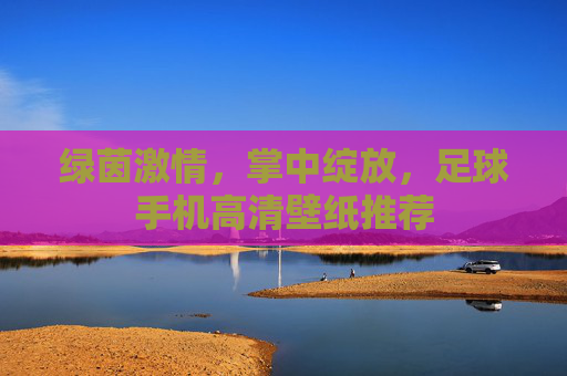 绿茵激情,掌中绽放,足球手机高清壁纸推荐 绿茵激情,掌中绽放,足球手机高清壁纸推荐