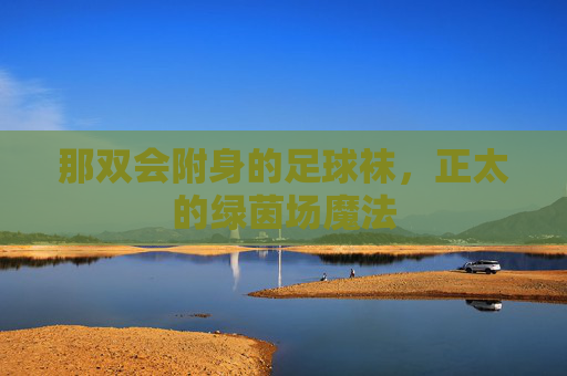 那双会附身的足球袜,正太的绿茵场魔法 那双会附身的足球袜,正太的绿茵场魔法