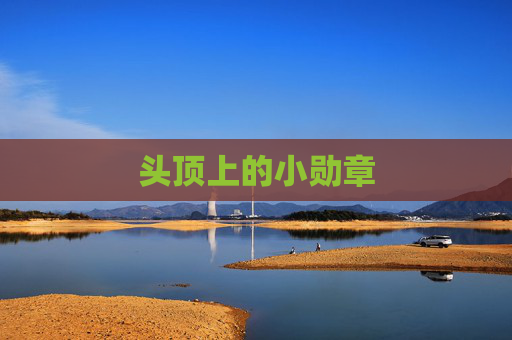 头顶上的小勋章 头顶上的小勋章