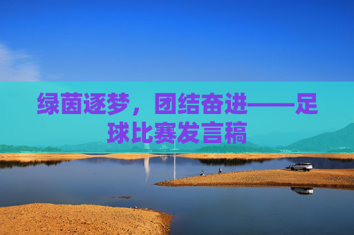 绿茵逐梦，团结奋进——足球比赛发言稿