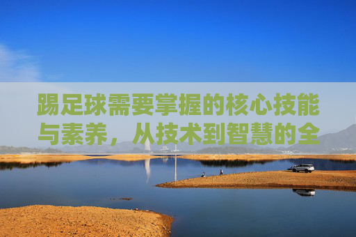 踢足球需要掌握的核心技能与素养,从技术到智慧的全面指南 踢足球需要掌握的核心技能与素养,从技术到智慧的全面指南