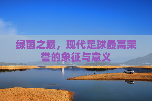 绿茵之巅，现代足球最高荣誉的象征与意义