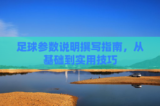 足球参数说明撰写指南,从基础到实用技巧 足球参数说明撰写指南,从基础到实用技巧