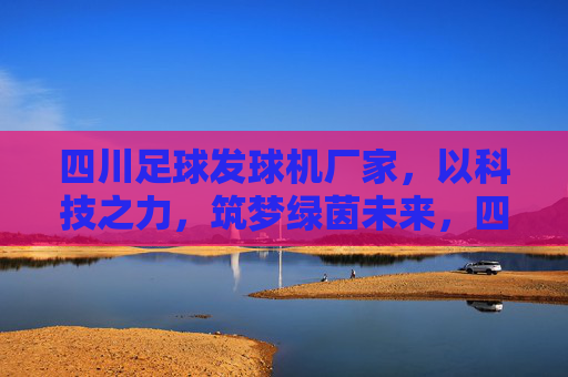 四川足球发球机厂家，以科技之力，筑梦绿茵未来，四川足球发球机厂家，科技筑梦绿茵未来