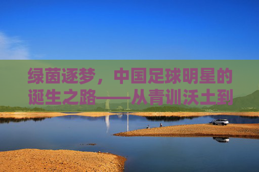 绿茵逐梦，中国足球明星的诞生之路——从青训沃土到世界舞台