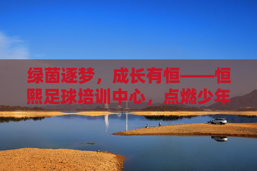 绿茵逐梦，成长有恒——恒熙足球培训中心，点燃少年足球梦想，绿茵逐梦成长，恒熙点燃少年梦想