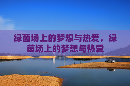 绿茵场上的梦想与热爱，绿茵场上的梦想与热爱