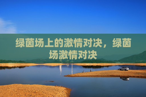 绿茵场上的激情对决，绿茵场激情对决
