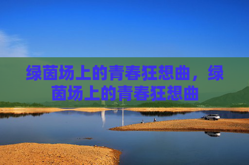 绿茵场上的青春狂想曲，绿茵场上的青春狂想曲