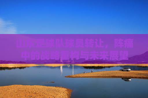 山东足球队球员转让,阵痛中的战略重构与未来展望 山东足球队球员转让,阵痛中的战略重构与未来展望