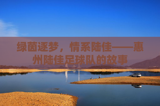 绿茵逐梦,情系陆佳——惠州陆佳足球队的故事 绿茵逐梦,情系陆佳——惠州陆佳足球队的故事