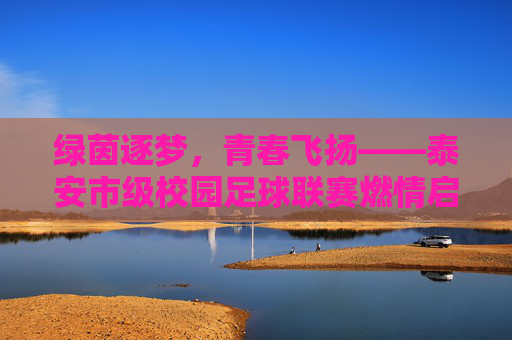绿茵逐梦，青春飞扬——泰安市级校园足球联赛燃情启幕，泰安市级校园足球联赛燃情启幕，绿茵逐梦青春飞扬