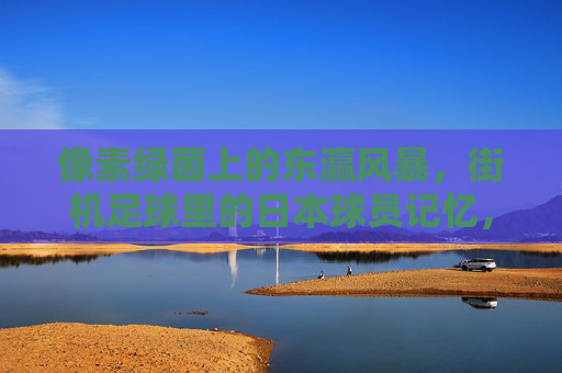像素绿茵上的东瀛风暴,街机足球里的日本球员记忆,街机绿茵的东瀛风暴,像素球员记忆 像素绿茵上的东瀛风暴,街机足球里的日本球员记忆,街机绿茵的东瀛风暴,像素球员记忆