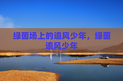 绿茵场上的追风少年,绿茵追风少年 绿茵场上的追风少年,绿茵追风少年