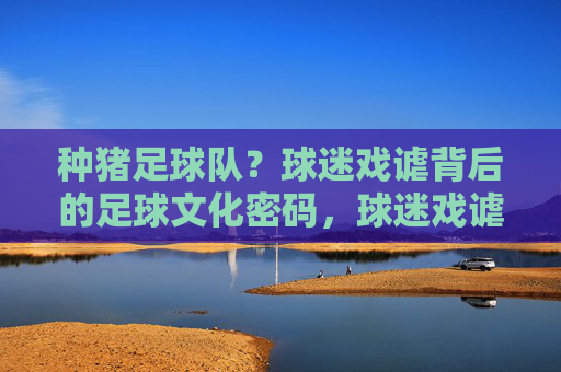 种猪足球队？球迷戏谑背后的足球文化密码，球迷戏谑种猪队，解码足球文化密码