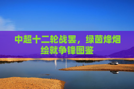 中超十二轮战罢，绿茵烽烟绘就争锋图鉴
