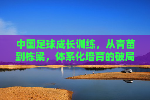 中国足球成长训练，从青苗到栋梁，体系化培育的破局之路