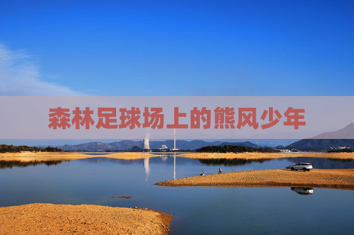 森林足球场上的熊风少年