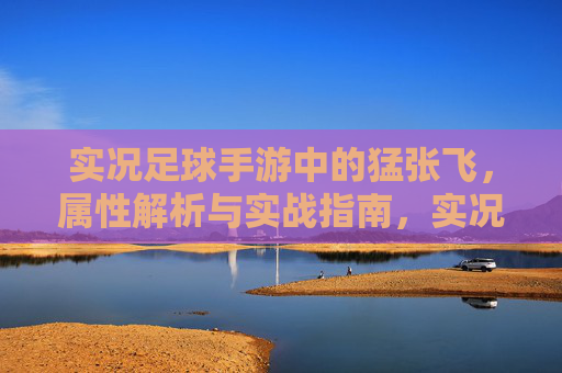 实况足球手游中的猛张飞,属性解析与实战指南,实况足球手游猛张飞,属性解析与实战指南 实况足球手游中的猛张飞,属性解析与实战指南,实况足球手游猛张飞,属性解析与实战指南
