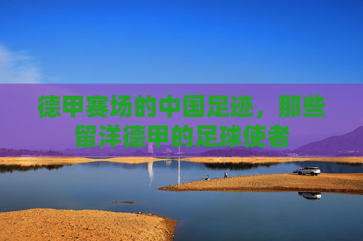 德甲赛场的中国足迹，那些留洋德甲的足球使者