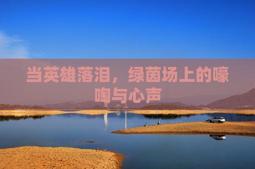 当英雄落泪,绿茵场上的嚎啕与心声 当英雄落泪,绿茵场上的嚎啕与心声