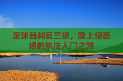 足球裁判员三级，踏上绿茵场的执法入门之路