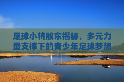 足球小将股东揭秘,多元力量支撑下的青少年足球梦想,足球小将股东多元力量支撑青少年足球梦想 足球小将股东揭秘,多元力量支撑下的青少年足球梦想,足球小将股东多元力量支撑青少年足球梦想