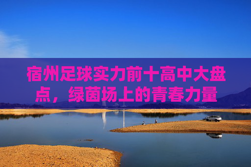 宿州足球实力前十高中大盘点，绿茵场上的青春力量