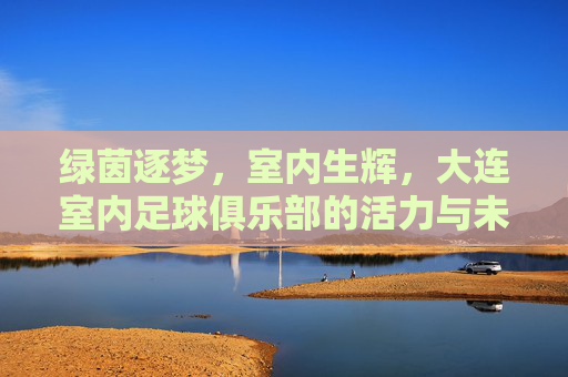 绿茵逐梦，室内生辉，大连室内足球俱乐部的活力与未来