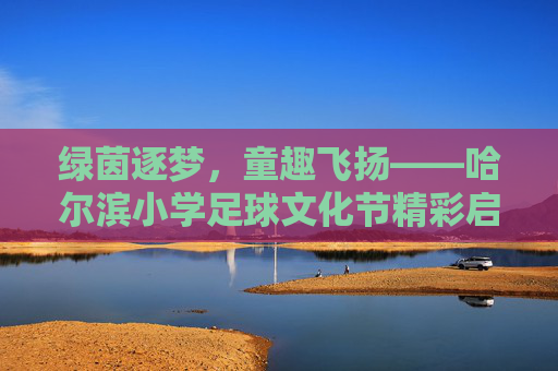 绿茵逐梦,童趣飞扬——哈尔滨小学足球文化节精彩启幕 绿茵逐梦,童趣飞扬——哈尔滨小学足球文化节精彩启幕