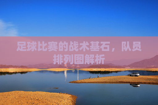 足球比赛的战术基石,队员排列图解析 足球比赛的战术基石,队员排列图解析