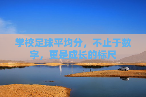 学校足球平均分,不止于数字,更是成长的标尺 学校足球平均分,不止于数字,更是成长的标尺